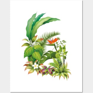 Tropical plants Posters and Art